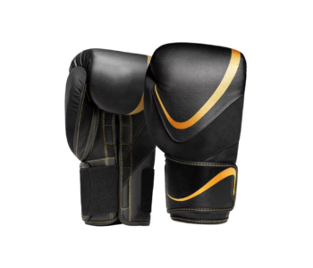 Karate Gloves