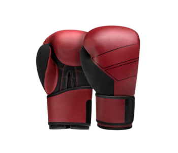 Karate Gloves